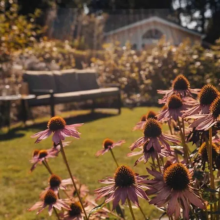 Lille Lykke I Tiny House Op De Veluwe Dom wakacyjny Epe