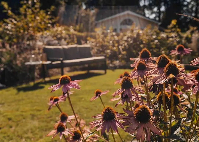 Lille Lykke I Tiny House Op De Veluwe Semesterbostad Epe